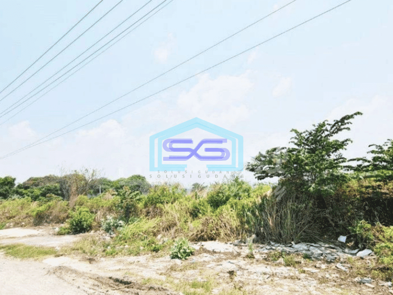 Disewakan Gudang di Lingkar Kaliwungu, Kendal Luas Tanah 9985m2