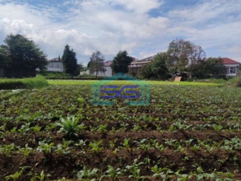Dijual Tanah Kavling Bagus dan Harga Termurah di Setiabudi Regency Bandung LT 1980m2