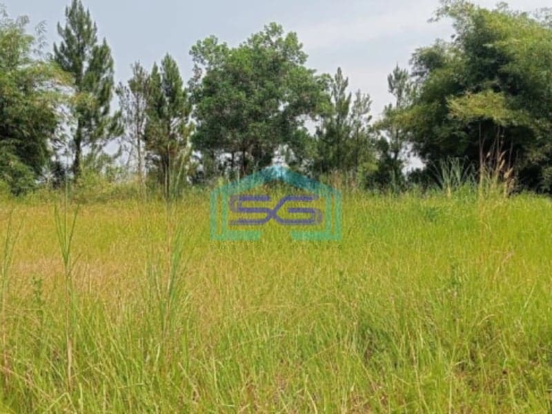 Dijual Tanah KP Wangun Depok Desa Karang Tengah Babakan Madang Bogor LT 10000m2