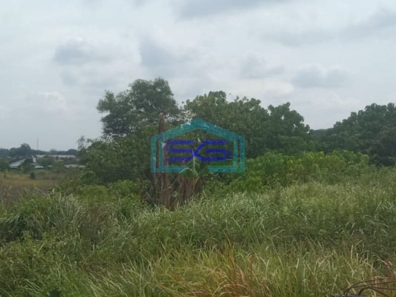 Dijual Tanah di Jalan Talang Kelapa Palembang Lokasi Mudah Dijangkau LT 3100m2