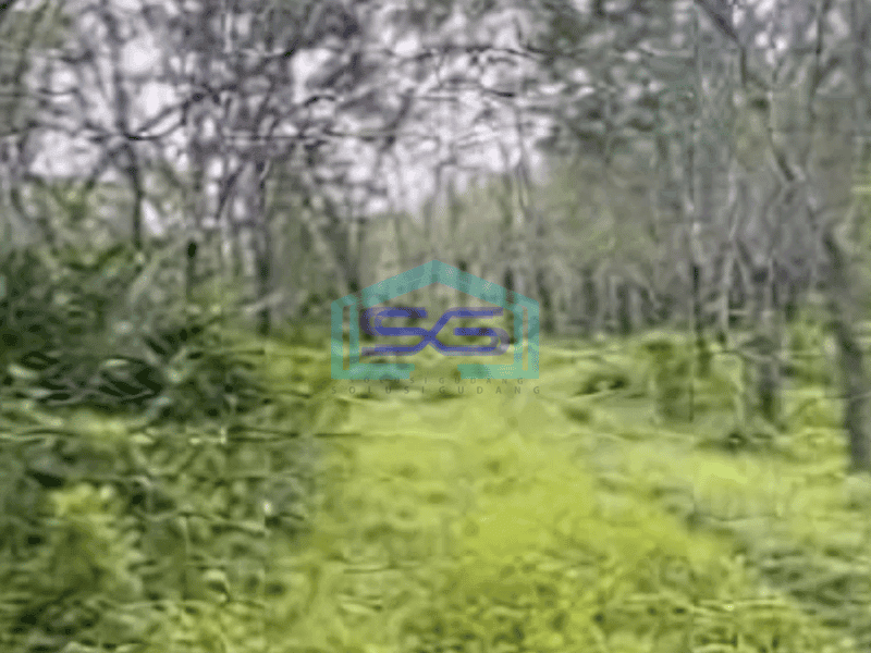 Dijual Tanah Luas 200 Ha Lokasi di Ciamis Jawa Barat