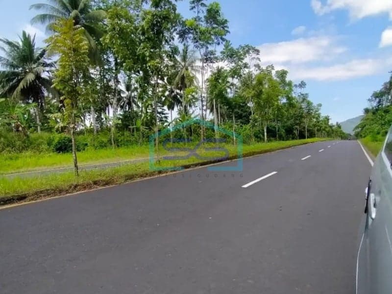 Dijual Tanah 11,5 Hektar di Mapanget, Manado Sulawesi Utara