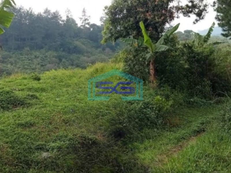 Dijual Tanah di Daerah Cidahu Sukabumi Luas Tanah 15000m2