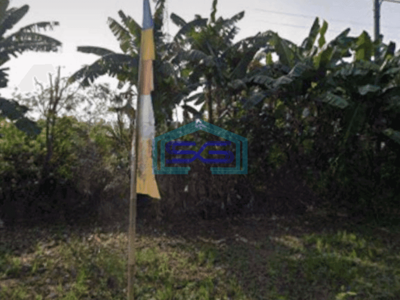 Dijual Tanah Luas 450000 m² di Pinggir Jalan Raya Sukawangi Bekasi