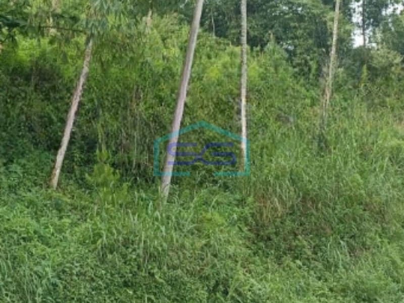 Dijual Tanah Luas 6600 m² Lokasi di Banjarnegara Sertifikat SHM