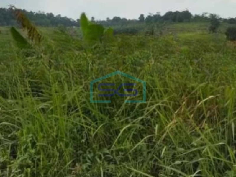 Dijual Tanah Lokasi Bebas Banjir di Bogor Jawa Barat