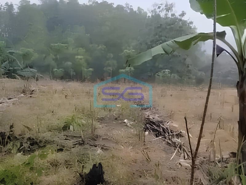 Strategic Land for Sale in Boyolali Central Java 18 Hectares