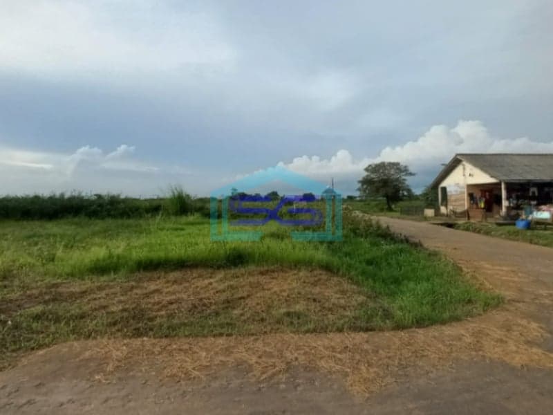 Dijual Tanah di Jalan Lubuk Kawahi Kebun Bunga Sukarami Palembang
