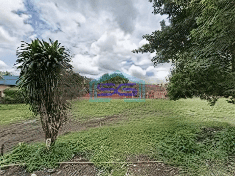 Dijual Tanah 1 Hamparan Di Tapos Tenjo Bogor Luas Tanah 350 Ha