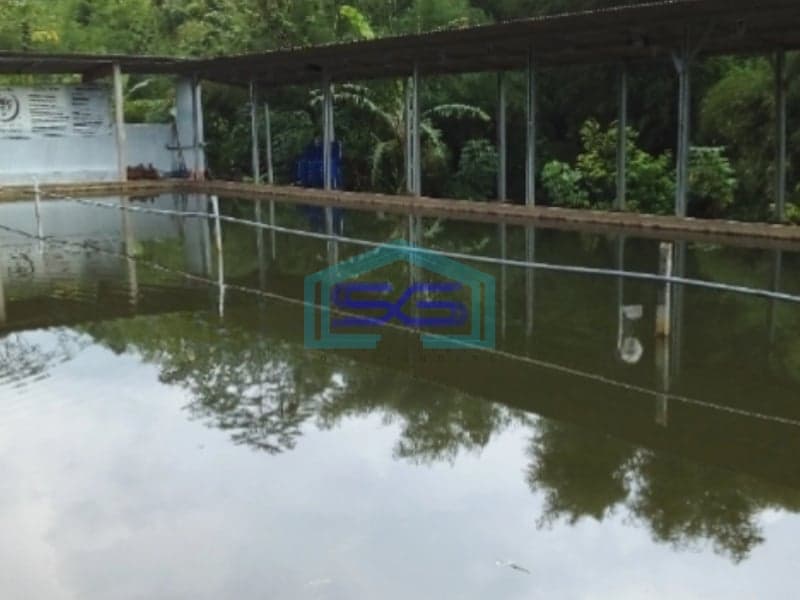 Dijual Ruang Usaha Tempat Pemancingan Dan Tempat Wisata Di Pudak Payung Semarang