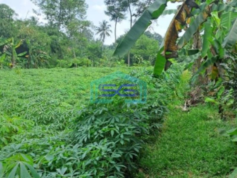 Dijual Tanah Di Kemang Bogor Luas Tanah 15000m2 Lokasi Bagus