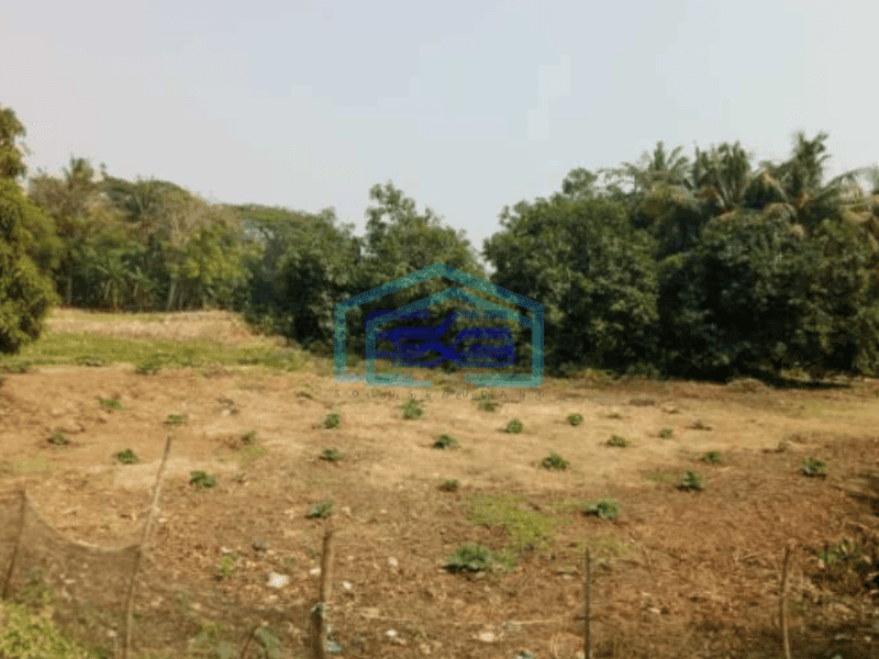 Dijual Tanah di Pakisjaya Karawang 4.950 M2 Pingir Jalan