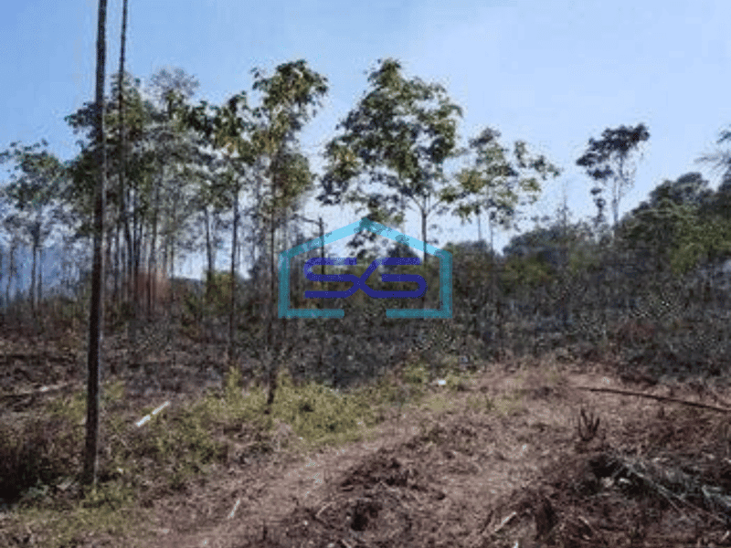 Dijual Tanah Bisa Untuk Gudang Harga Murah di Cipanas Lebak Banten