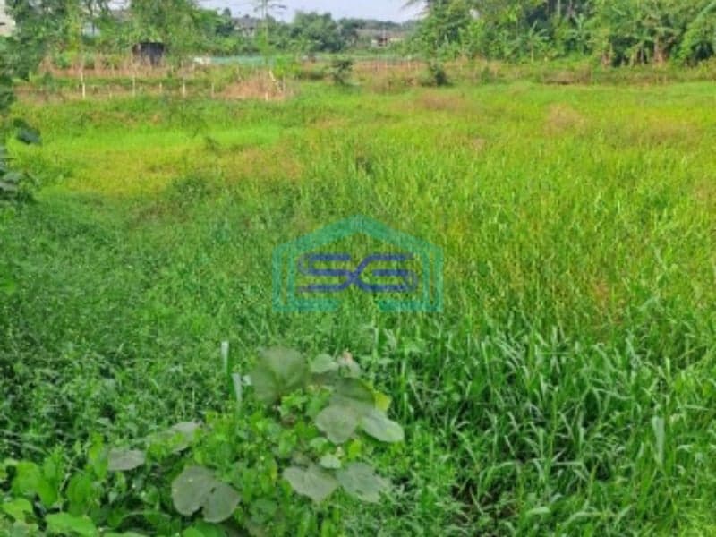 Dijual Tanah Di Kemang Bogor Luas Tanah 13000m2