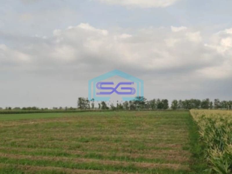 Dijual Tanah SHM Luas Tanah 48000m² Lokasi di Ciledug Cirebon Timur