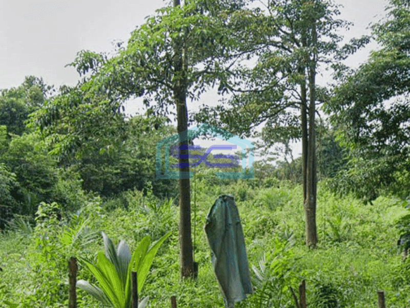 Dijual Tanah Strategis Siap Bangun di Pinggir Jalan Raya Lingkis Rambutan, Jejawi Sumatera Selatan Luas 20000m2