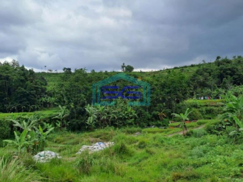 Dijual Tanah Darat Lokasi di Cigombong Bogor Luas Tanah 4 Hektar