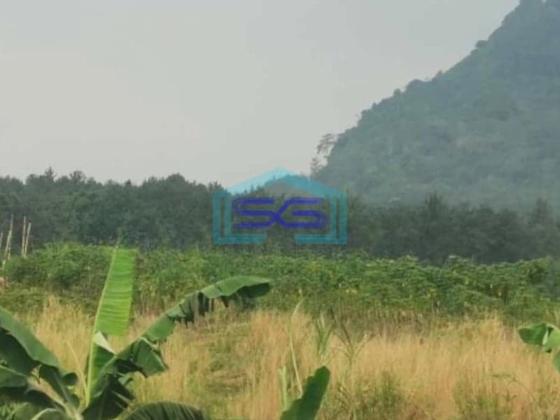 Dijual Tanah Kavling Sentul City Dekat Jungle Land Sentul Bogor Luas Tanah  40000 m²