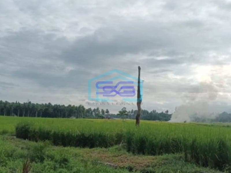 Dijual Tanah Di Tanjung Merah Bitung Kawasan Industri Dan Gudang Bitung Selatan, Bitung Luas Tanah 10000 m²