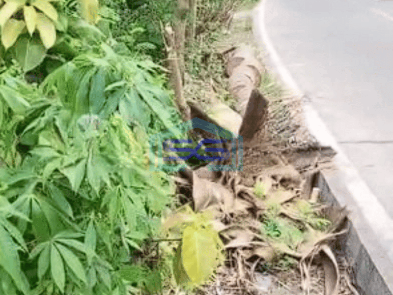 Dijual Tanah Teluk Naga Tangerang Padat Pinggir Jalan Raya Akses Kontainer 40 Feet LT 4265m2