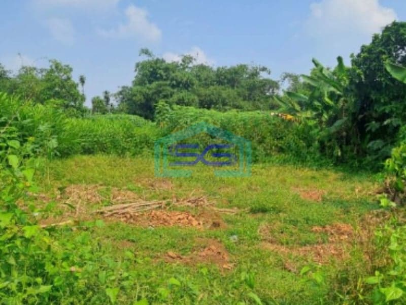 Dijual Tanah di Jalan Raya Rancabungur Bogor Luas Tanah 12000m2