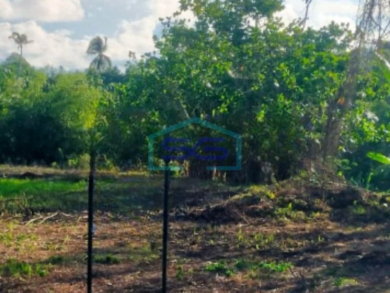 Dijual Tanah Dekat Kampus dan RS di Jalan Raya Pandu, Manado LT 46000 m²