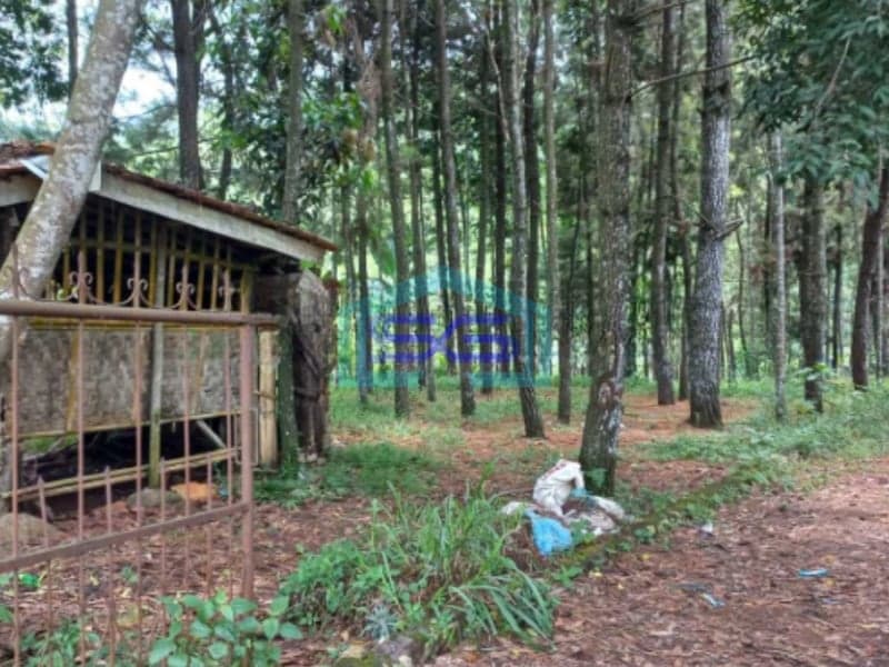 Dijual Tanah Kavling Dekat Jalan Raya Panca Kota Sukabumi Luas Tanah 25000m2