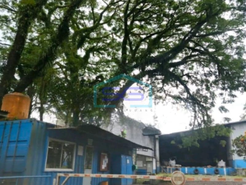 Disewakan Gudang di Jalan Manado Bitung Lembean, Minahasa Utara LB 5000 m²