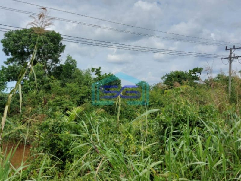 Dijual Tanah Luas 33 Ha Lokasi Strategis Tepi Jln Tanjung Api Api KM 42 Palembang