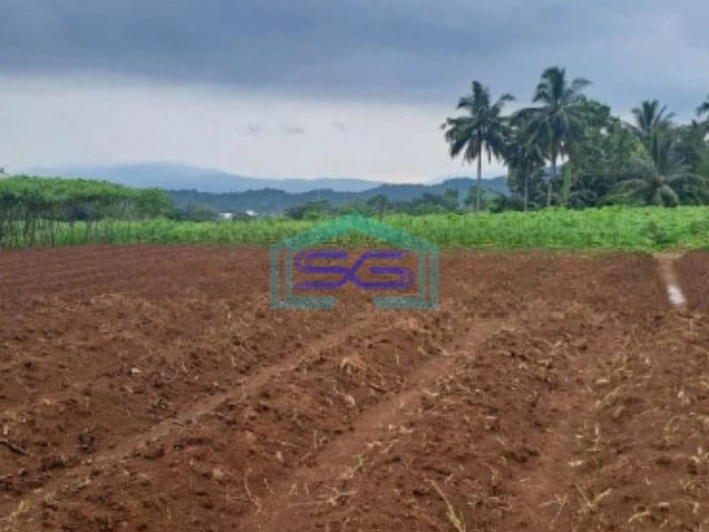 Dijual Tanah di Ci Bening Pamijahan Bogor Luas Tanah 72000m2
