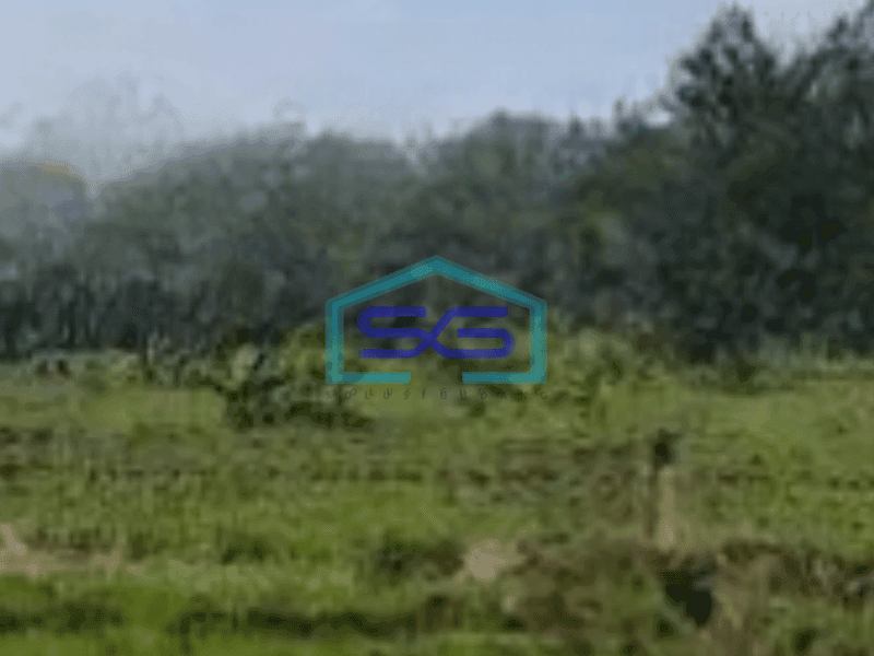Dijual  Tanah dan Bangunan di Jl Raya Purwodadi, Kebun Raya Purwodadi