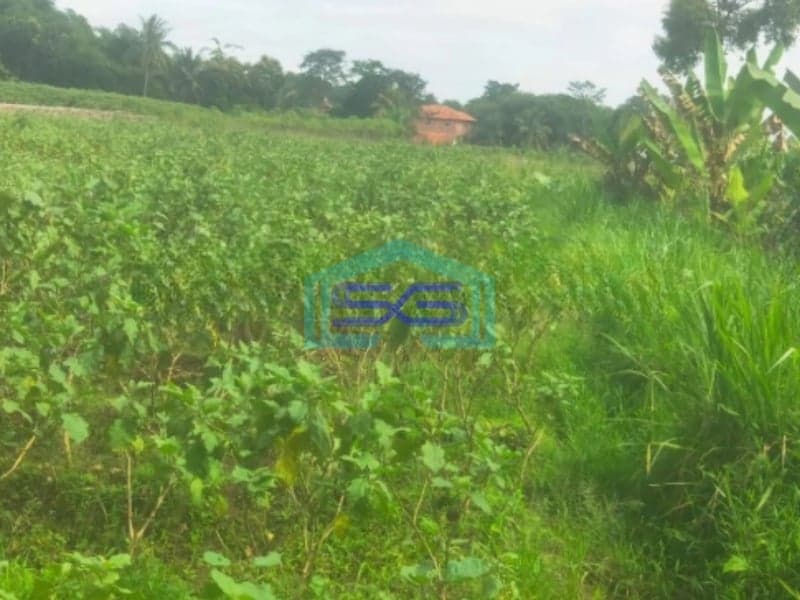 Dijual Tanah Desa Cibungbulang Bogor Barat Jawa Barat LT 70000m2