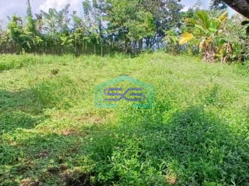 Dijual Tanah Harga Murah di Baturiti Tabanan Bali Luas Tanah 2780m2