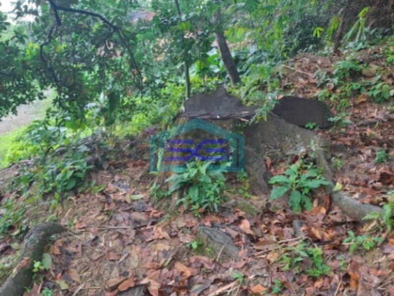Dijual Tanah Di Kawasan Lewihejo Sentul Bogor Luas Tanah 1840m2