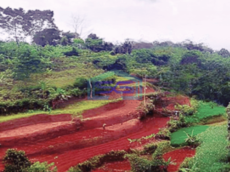 Dijual Termurah Kavling Tanah Luas 12 Ha Bogor Selatan Jl Cogreg Nangka