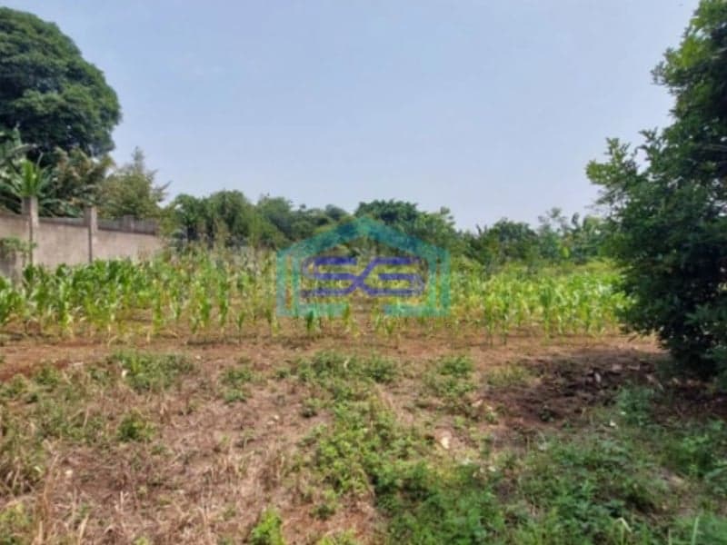 Dijual Tanah di Jalan Raya Bojong Klapanunggal Bogor LT 6166m2