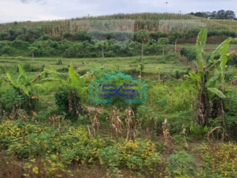 Dijual Tanah Strategis Cocok Untuk Usaha Pasteur Bandung Luas Tanah 3680m2