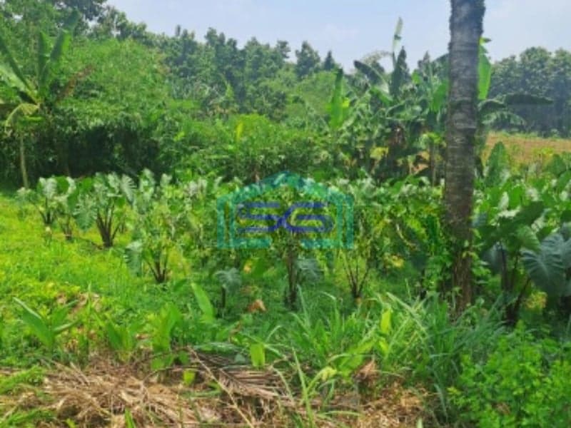 Dijual Tanah Di Daerah Kemang Bogor SHM Lokasi Bebas Banjir