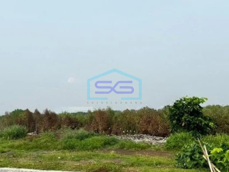 Dijual Tanah di Kawasan Industri Wijayakusuma Semarang Jawa Tengah Luas Tanah 30000m²