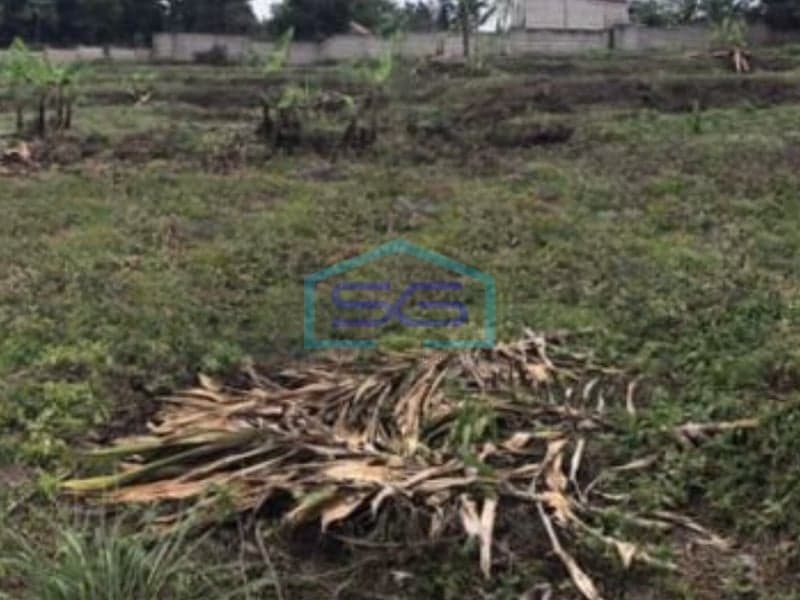 For Sale: Spacious 3100 m² Flood-Free Land in West Bandung