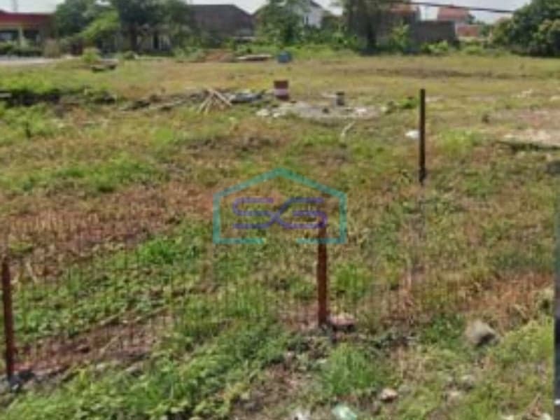 Disewakan Tanah Luas 2260 m² Lokasi di Kendal Jawa Tengah