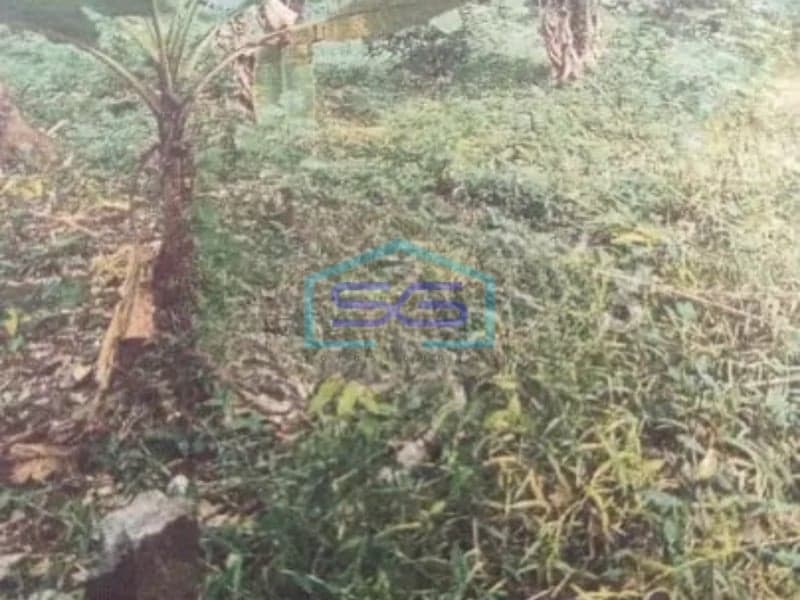 Dijual Tanah Lokasi Purwosari Mijen Semarang Jawa Tengah Luas Tanah 1950m²