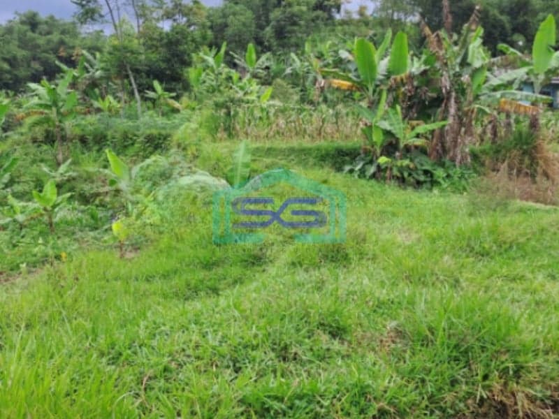 Dijual Tanah Darat Lokasi di Cigombong Bogor Luas Tanah 4 Hektar