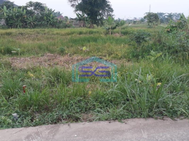 Dijual Tanah di Jalan Panca Usaha Ujung Palembang Lokasi Strategis Akses Mudah