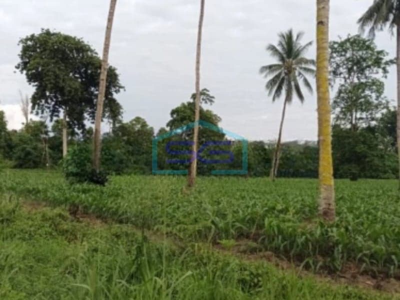 Dijual Tanah 2~6 H Di Jl Girian Kema Bitung Kawasan Industri Bitung Selatan, Bitung Luas Tanah (PxL)  20000 m²