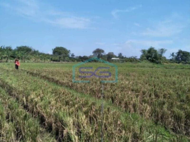 Dijual Tanah Murah di Jalan Raya Kutakarya, Karawang Barat LT 5.000 m2