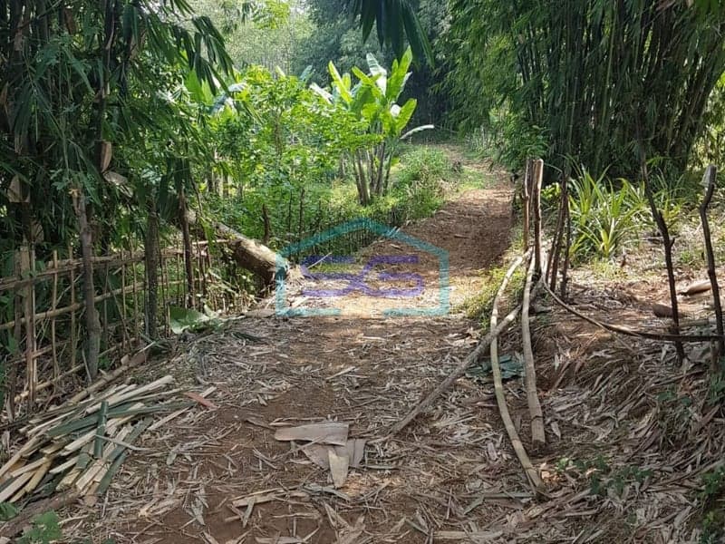 TANAH DIJUAL DI JONGGOL
