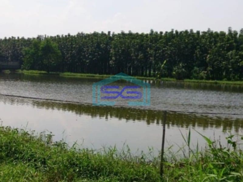 Dijual Tanah Dalam Komplek Perumahan Ciwastra Luas Tanah  6541 m²