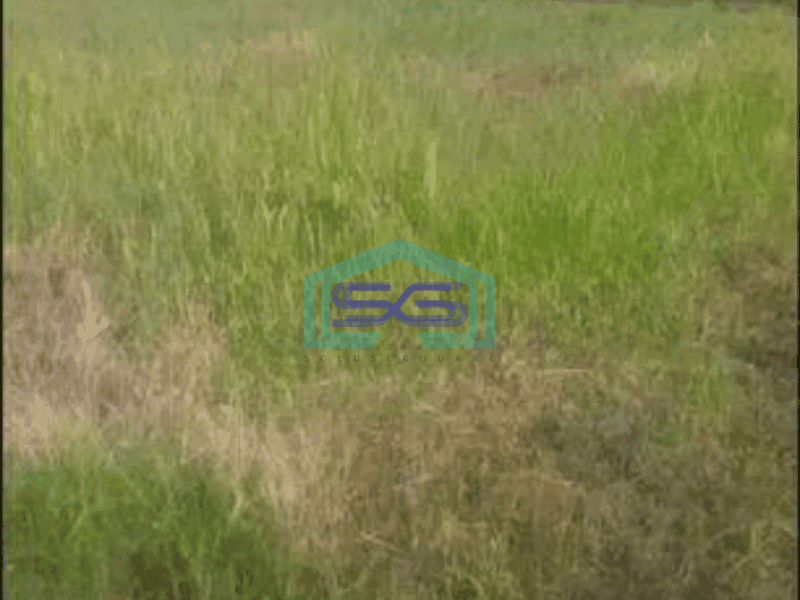 Dijual Tanah Kavling di Tigaraksa Kp. Cileles Bantar Panjang Tangerang