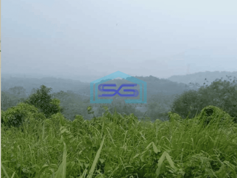 Dijual Tanah Di Jonggol Bogor Luas Tanah 20000 m²